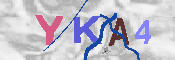 キャプチャ画像