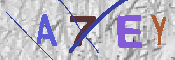 キャプチャ画像