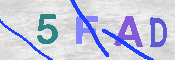 キャプチャ画像