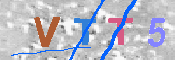 キャプチャ画像