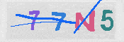 キャプチャ画像