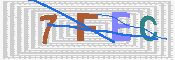 キャプチャ画像