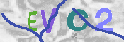 キャプチャ画像