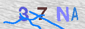 キャプチャ画像