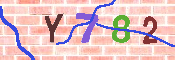 キャプチャ画像