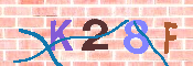 キャプチャ画像
