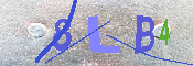 キャプチャ画像