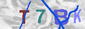 キャプチャ画像