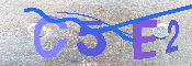 キャプチャ画像
