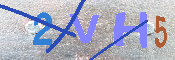 キャプチャ画像