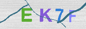 キャプチャ画像