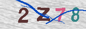 キャプチャ画像