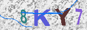 キャプチャ画像