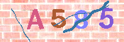 キャプチャ画像