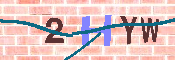 キャプチャ画像