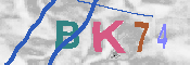 キャプチャ画像