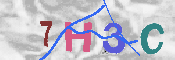 キャプチャ画像