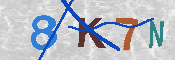 キャプチャ画像