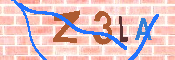 キャプチャ画像