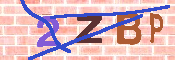 キャプチャ画像
