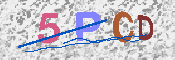 キャプチャ画像
