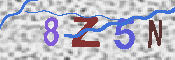 キャプチャ画像