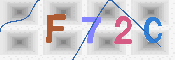 キャプチャ画像