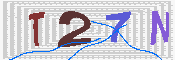 キャプチャ画像