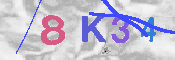 キャプチャ画像