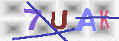 キャプチャ画像