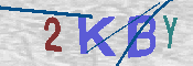 キャプチャ画像