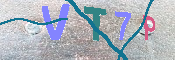 キャプチャ画像