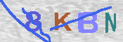 キャプチャ画像