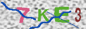 キャプチャ画像