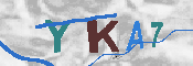 キャプチャ画像