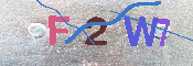 キャプチャ画像