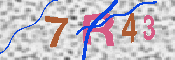 キャプチャ画像