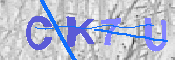 キャプチャ画像