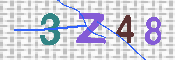 キャプチャ画像
