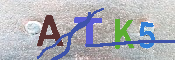 キャプチャ画像