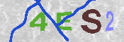 キャプチャ画像