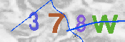 キャプチャ画像