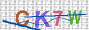 キャプチャ画像