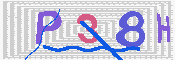 キャプチャ画像
