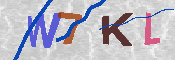 キャプチャ画像