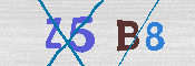 キャプチャ画像