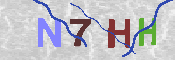 キャプチャ画像