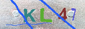 キャプチャ画像