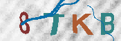 キャプチャ画像