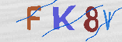 キャプチャ画像